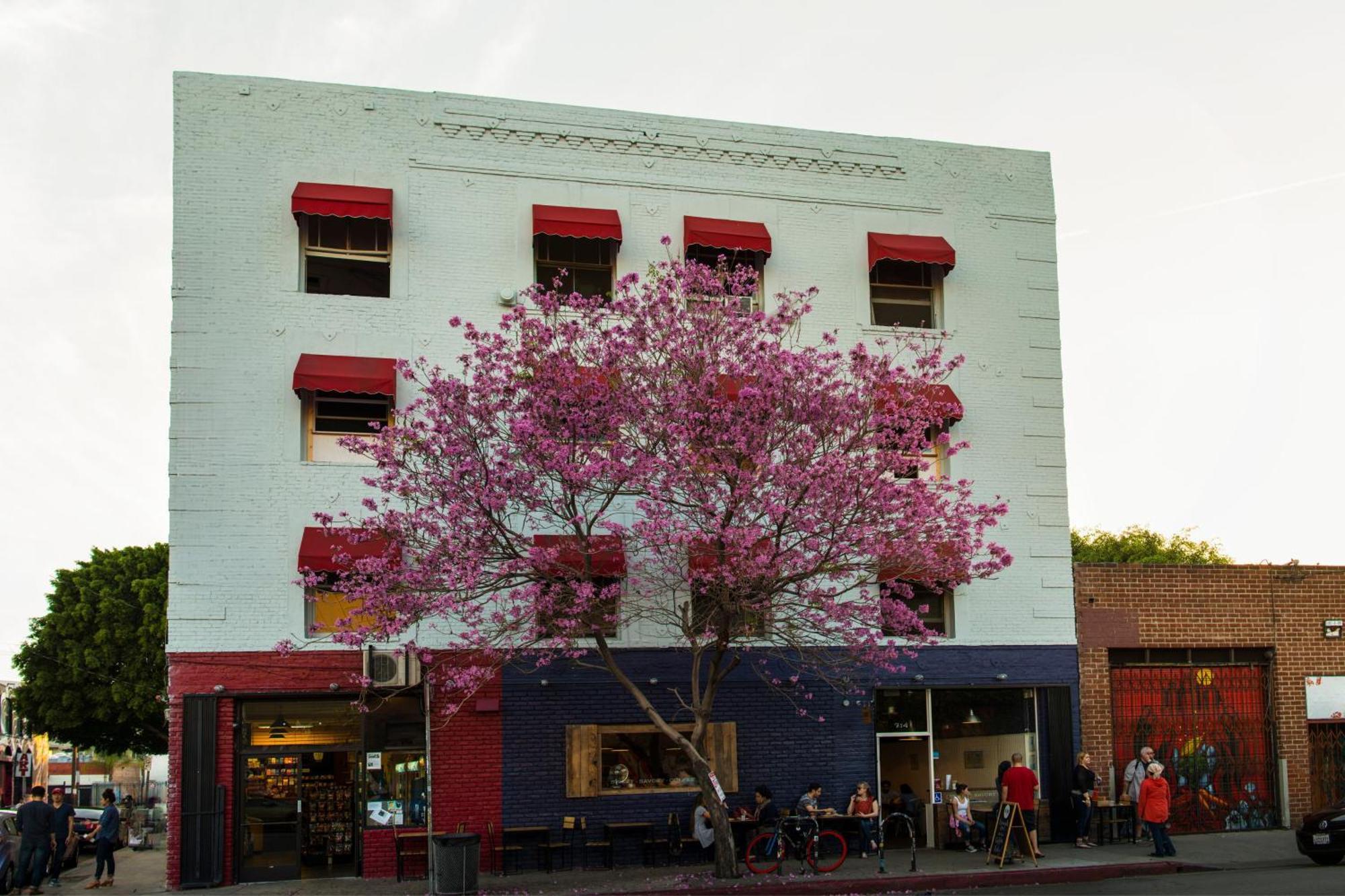 American Hotel — Fotoğraflar 2